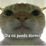 grado 6_6