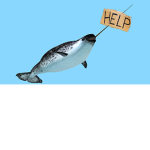 Narwhal nation (betray us be punished)