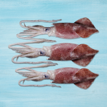 Squid Industry
