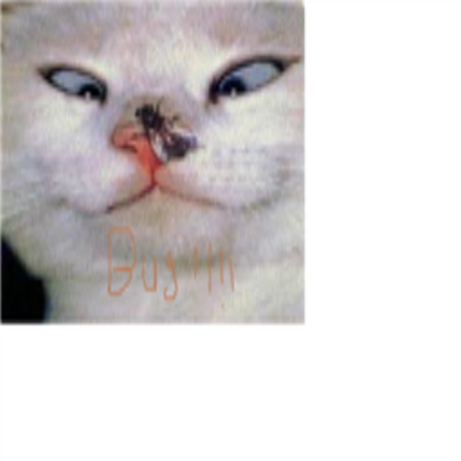 funny cat!!! Roblox decal