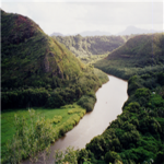 environment games