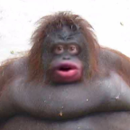 [OGROMNA AKTUALIZACJA!] UH OH ŚMIERDZĄCY