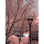 S u n s e t c l o u d