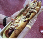 The Cheesy Hotdogs…. Yum!