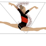 S Elite Gymnastics Academy