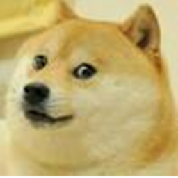 Doge World (Update)