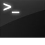 >_Terminal