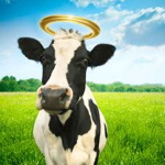 Holy_Cow_Clothing