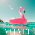 ∙VELVET∙
