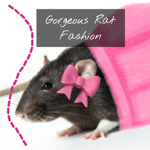 Gorgeous Rat Fashion