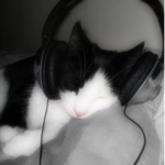 Chilling vibes!
