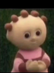 Honey Bear Club ツ