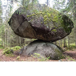 Forest Rocks!