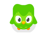 Birds are cute