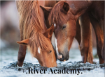 *+. River Academy .+*