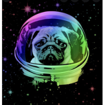 Sport Pugs