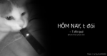 Nơi t làm này kia