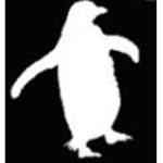 Team PenguinZ STUDIOS