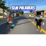 Sem palavras