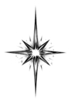 Movement pattern.