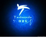 The Taekwondo Squad
