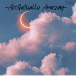 -AESTHETICALLY AMAZING-