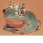 The frog kingdom :)