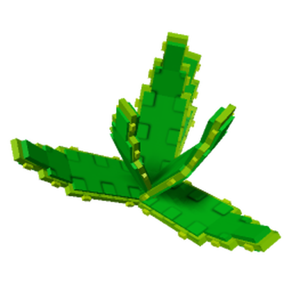 Aloe Vera produce image