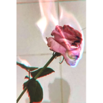 ‘’AestheticClown’’