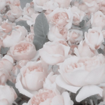 pr3tty flowers!