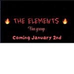 THE ELEMENTS SHOW FAN GROUP