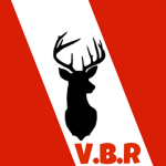 Vienna Bright Reds Touch Basketball
