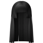 Long Straight Hime Cut in Black