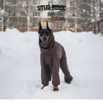 studridge