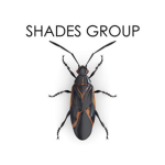 Shades Group