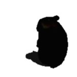 Shadow Chomik