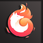 Infinite Fox Fire