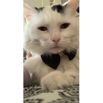 Fan club for me<3