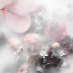 memory symphony