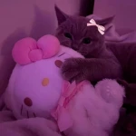 kawaii katss Group Thumbnail
