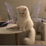 mitzi<3