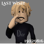 last wish ୨୧