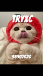 tryxc