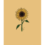 Sunflowers art