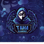 Taha gamer and Amir gamer