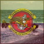 31st Marine Expeditionary Unit - (31st MEU)
