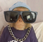 F1uTt3RsHy
