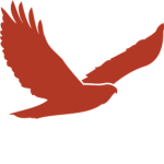 Platoon, Red Hawk (Platoon of the USAF)