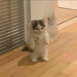 okkjw3 그룹