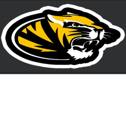 Allegiant Stadium/Tigers *NEW*